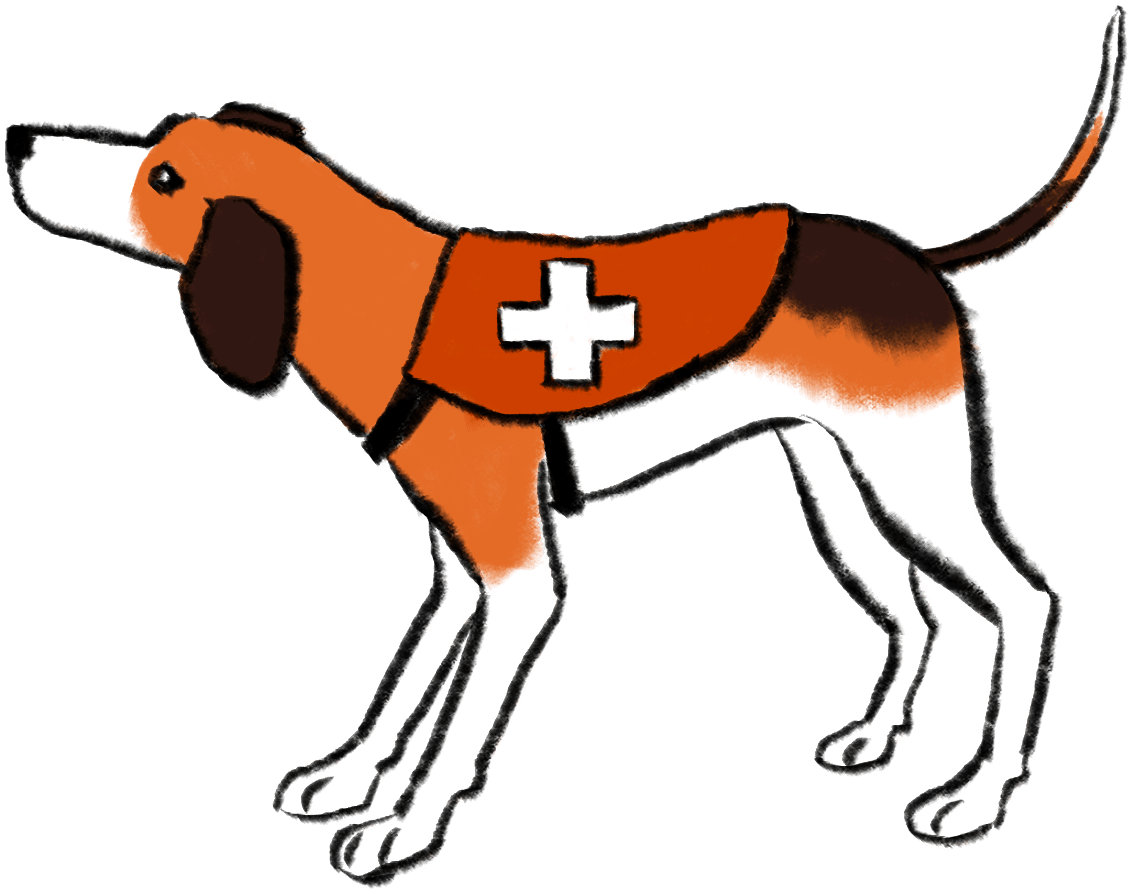 illustration shows dog with medical vest