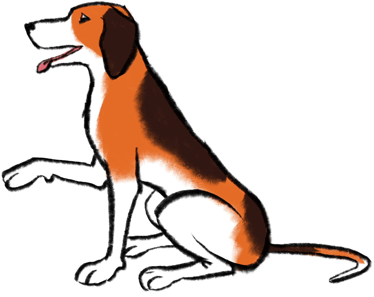 illustration show seated dog holding out one paw