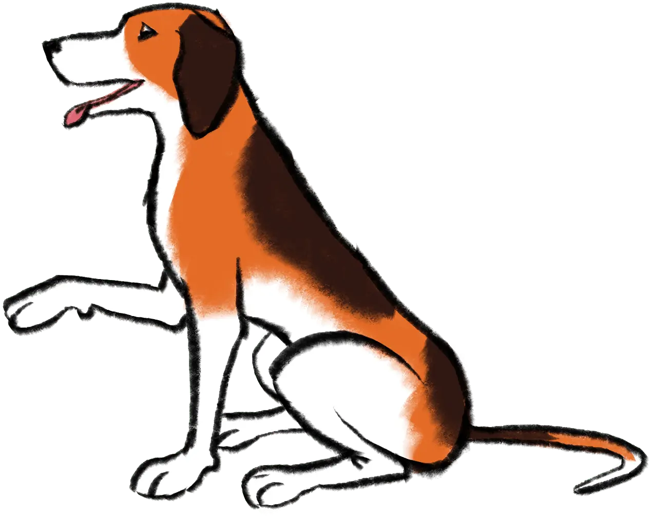 illustration show seated dog holding out one paw