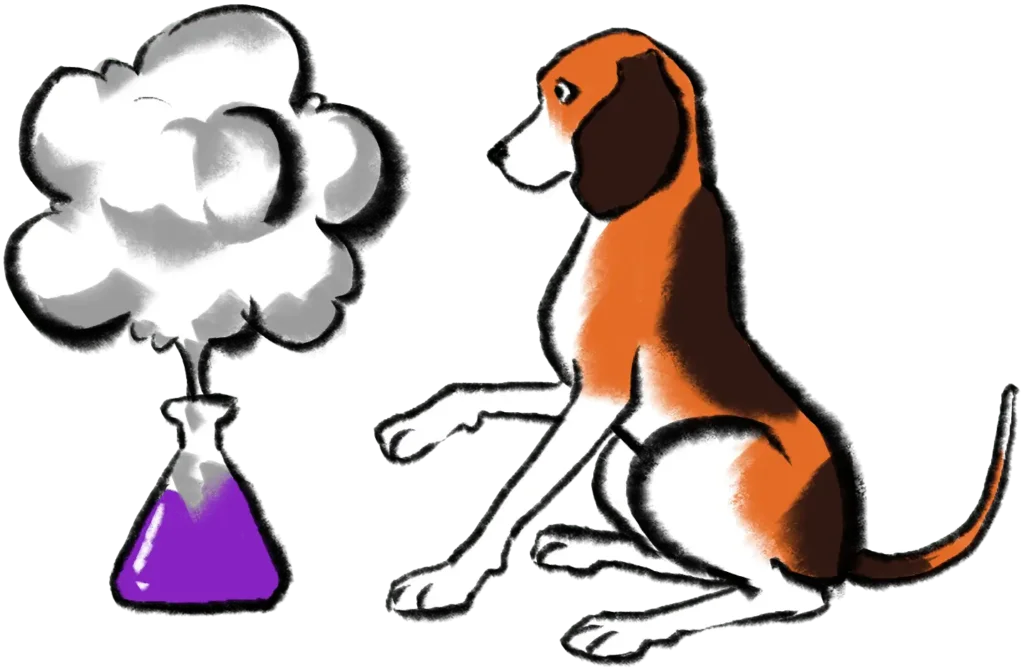 Dog with test tube experiment