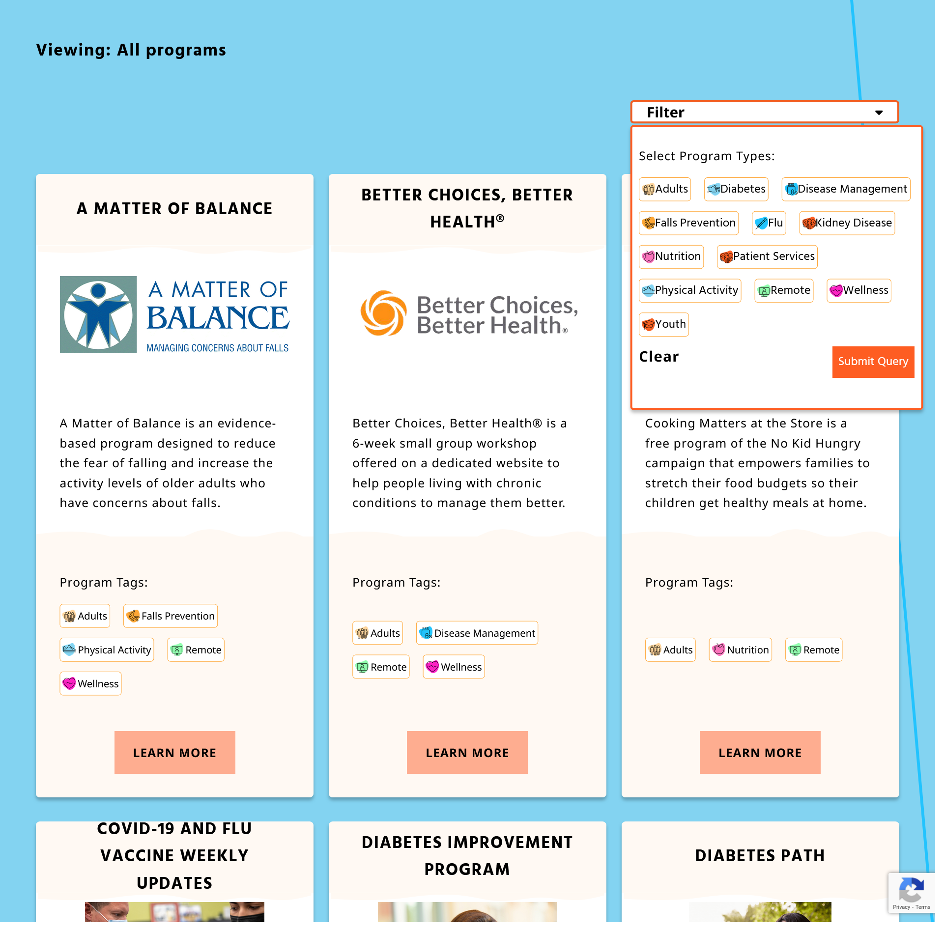 screenshot of programs screen section with open filter
