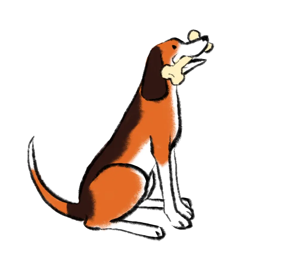 illustration shows seated dog holding bone in mouth