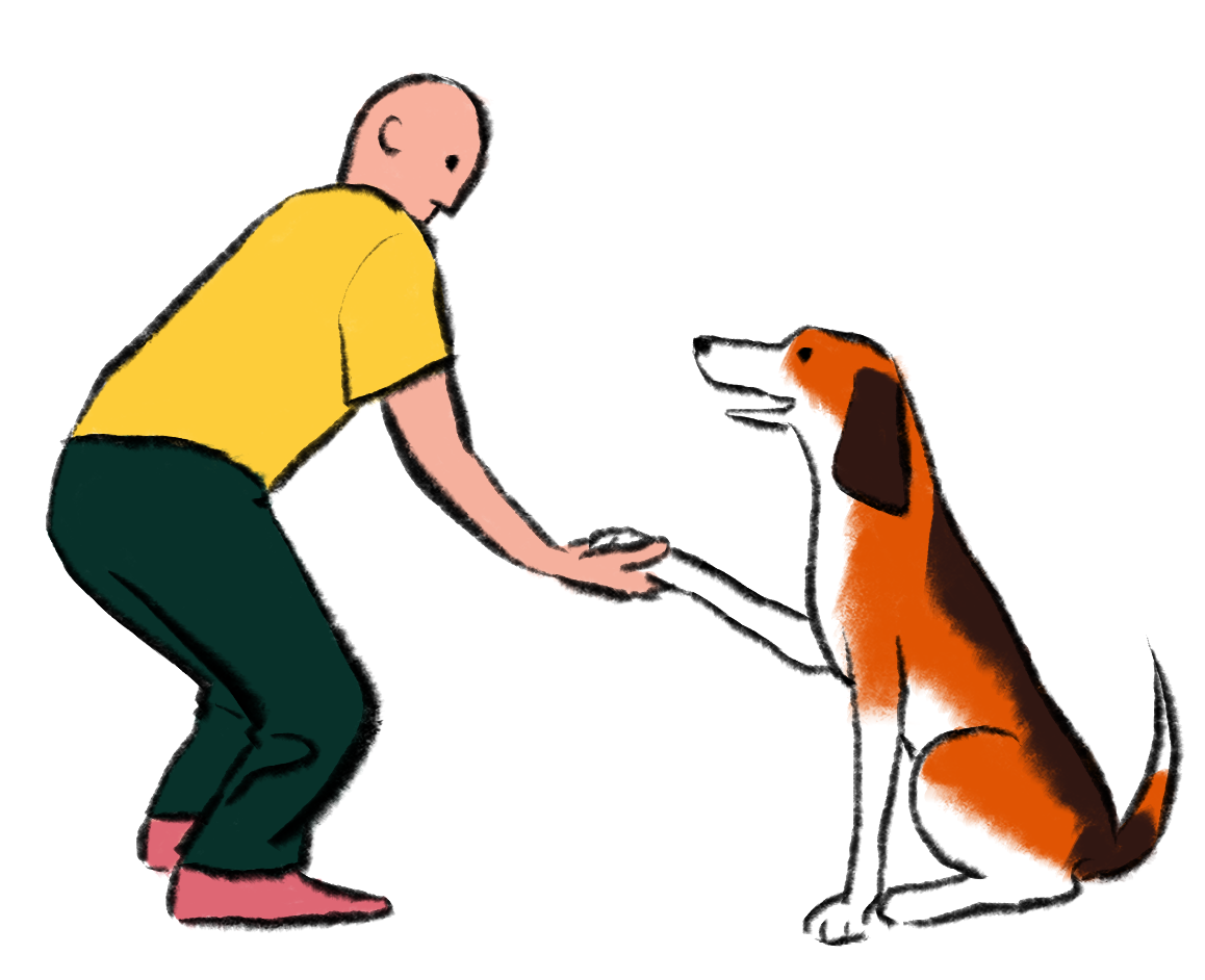 illustration shows dog shaking hands with a character
