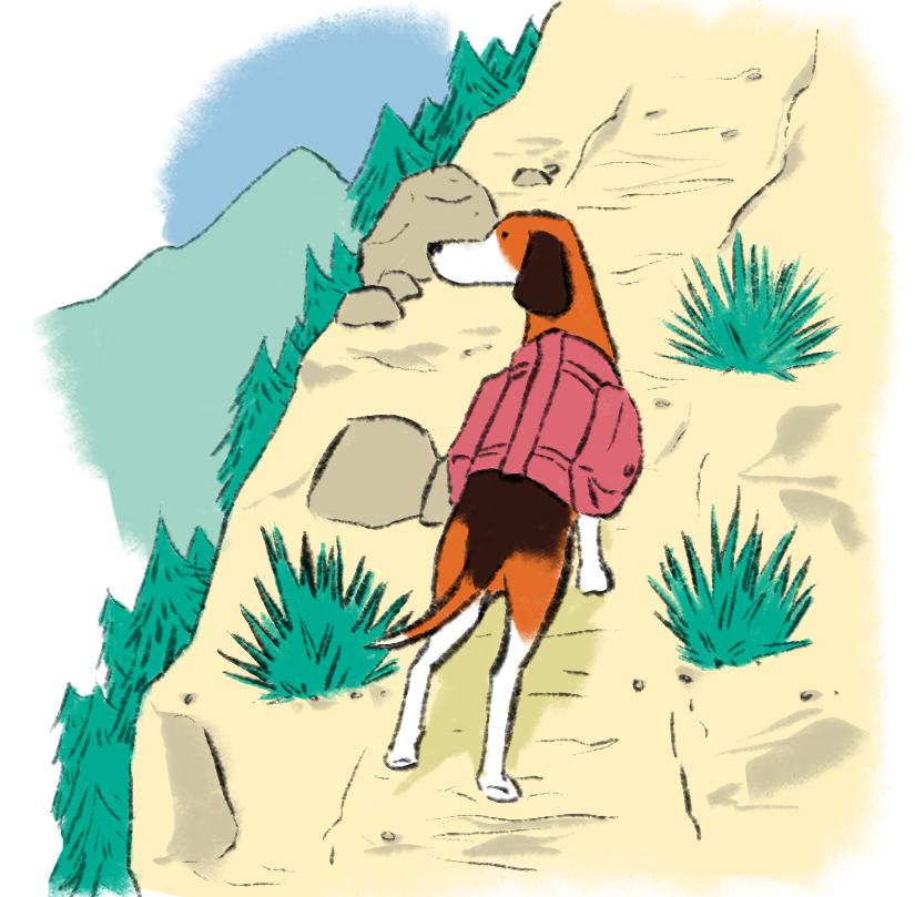 Illustration shows dog with coat standing on mountainside - hero image for Standard Beagle - the AI UX agency