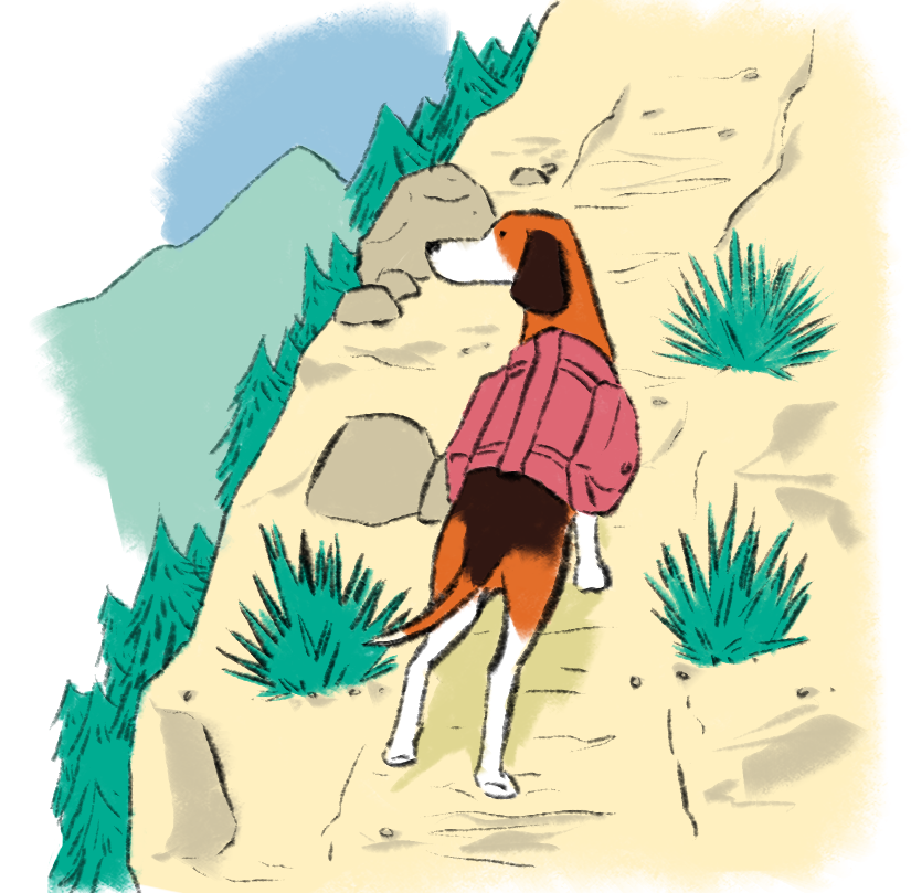 AI UX design agency 10 Illustration shows dog with coat standing on mountainside - hero image for Standard Beagle - the AI UX agency