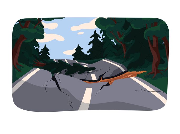 Natural disaster, earthquake. Forest, fallen fir tree, broken road with splits. Ruined asphalt, earth destruction. Destroyed landscape, quake environment. Seismic activity flat vector illustration.